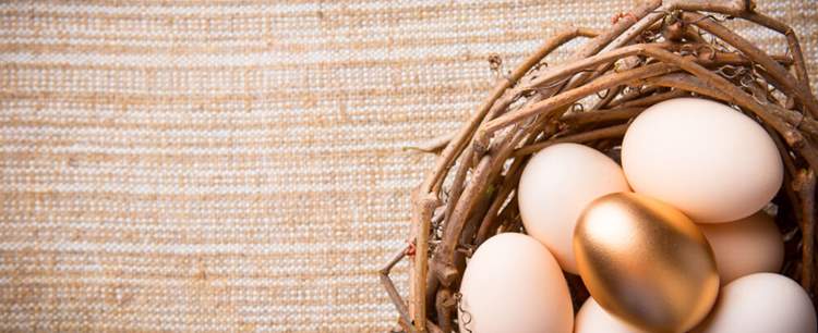 an image of a basket of eggs with one golden egg in