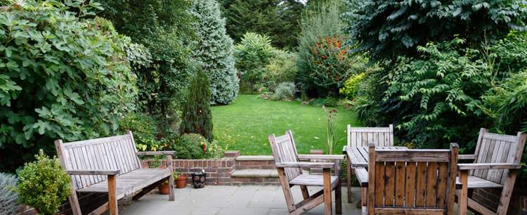 A garden to show working from home tips