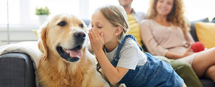 Little girl playing with a dog showing the benefits of Pet-Friendly Landlords