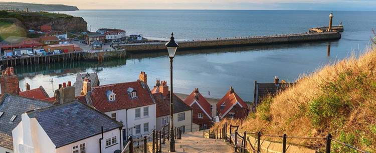 View of some houses which shows what buyers want from estate agents