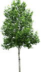 A figurine of a tree