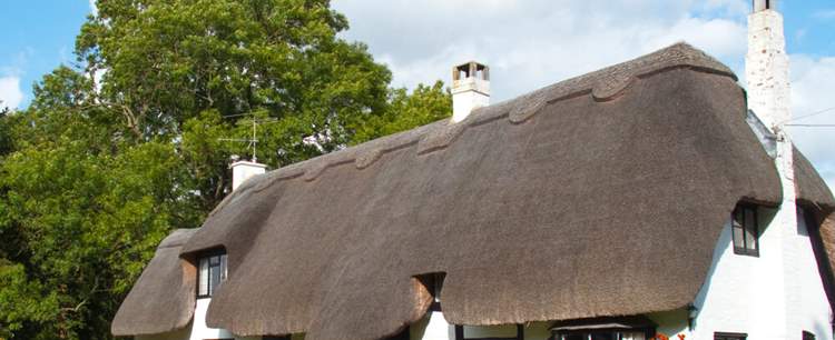 Roof of a cottage