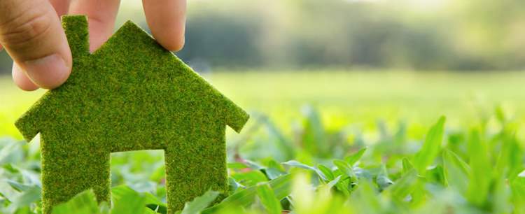 House model made out of grass